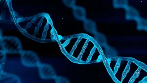 The Role of DNA Evidence in Criminal Cases in Union County, NJ